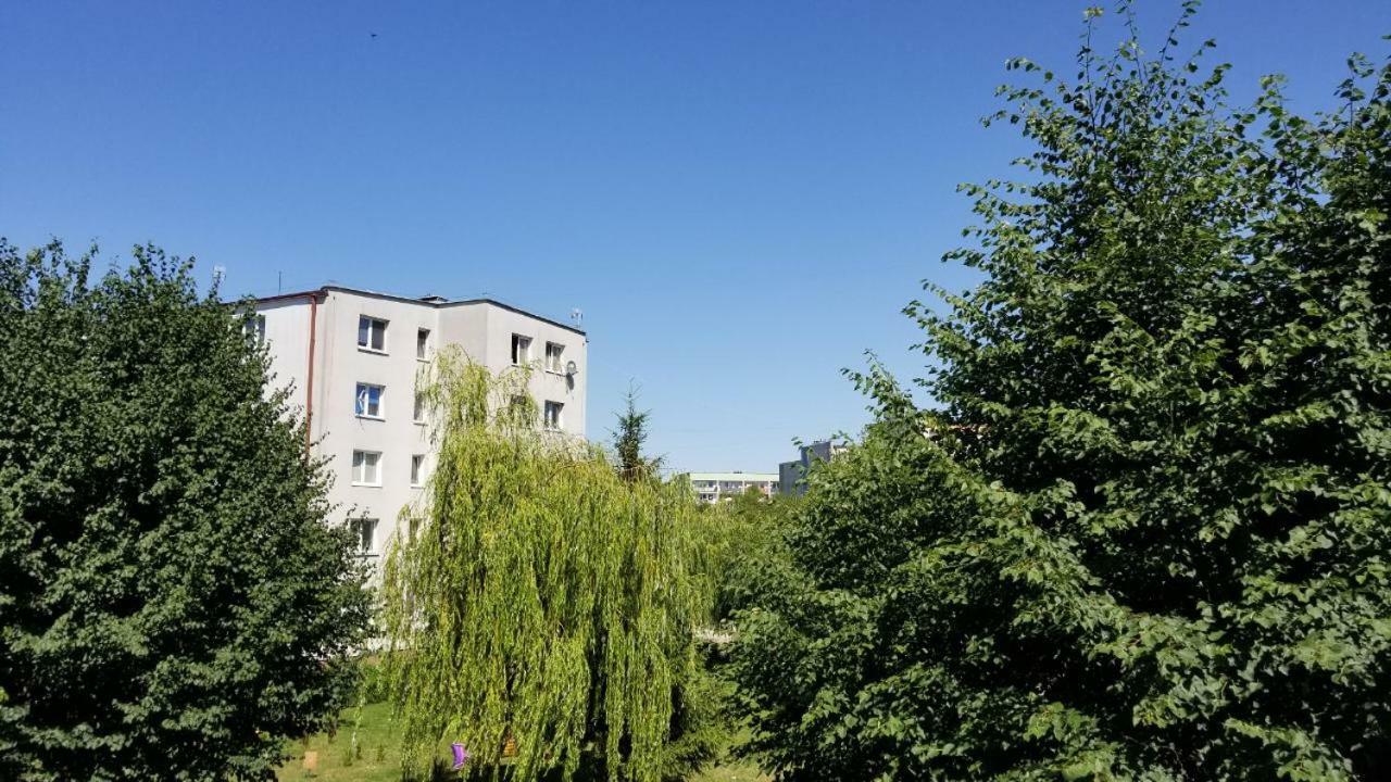 Апартаменты Apartament Turkusowy Ручане-Нида Экстерьер фото
